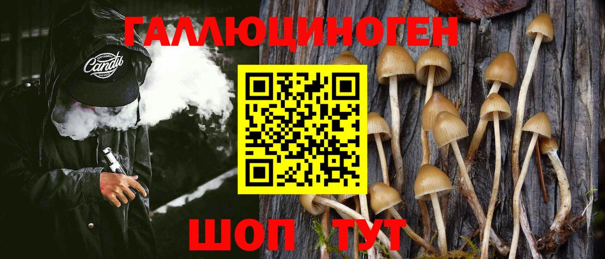 Псилоцибиновые грибы GOLDEN TEACHER  Вход с VPN  Дубна 